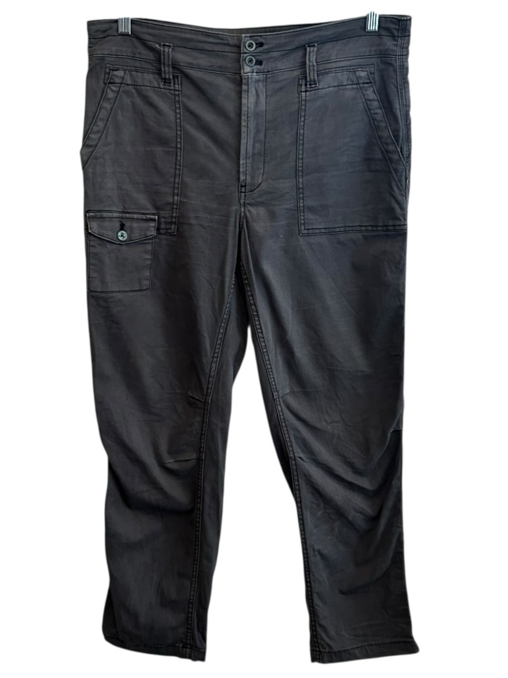 Anthropologie The Wanderer Pants in Grey Size 32